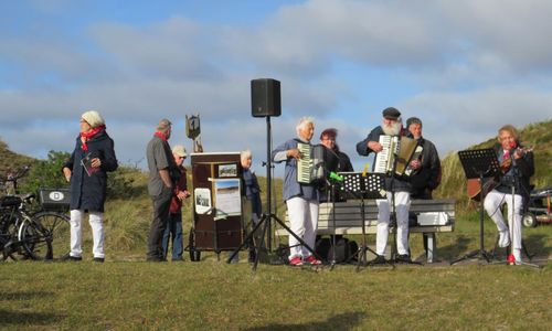 Sonniger-Auftakt-f-r-das-D-nensingen